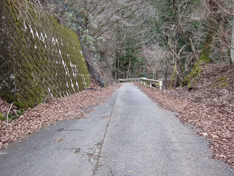 20200204hike (445)